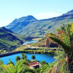 vista su una montagna con palme e lago di Casa Romantica a Los Palmitos