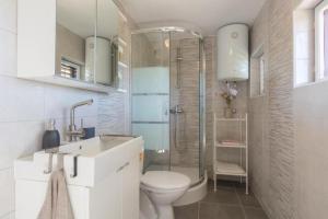 un bagno con wc, lavandino e doccia di Apartment Tomislav a Vir (Puntadura) Altre 21 foto