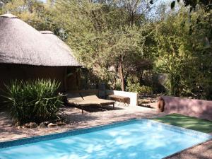 een zwembad in een tuin met een hut bij Discovery Bed and Breakfast in Maun