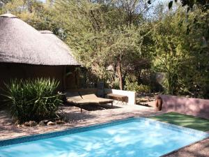 a swimming pool in a yard with a hut at Discovery Bed and Breakfast in Maun