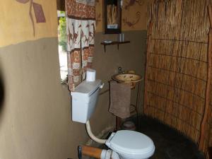 een badkamer met toilet en wastafel bij Discovery Bed and Breakfast in Maun +30 foto's