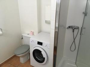 a small bathroom with a washing machine and a toilet at Apartment Cali Elina in Riquewihr