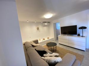 TV a/nebo společenská místnost v ubytování Boutique House Ika with Private Swimming Pool