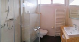 a bathroom with a shower and a toilet and a sink at Alpenhof Wohlfühlpension in Obsteig