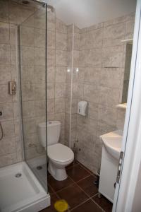 y baño con aseo, ducha y lavamanos. en Villa Marko - Trpejca en Ohrid