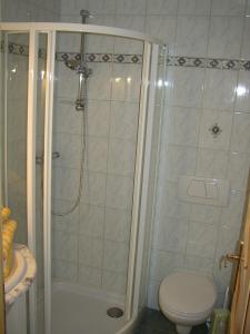 a bathroom with a shower and a toilet at Pension Sydler in Bad Goisern