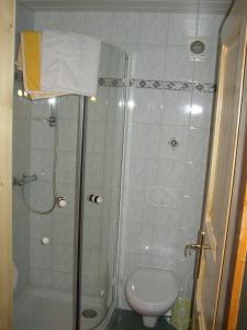 a bathroom with a shower and a toilet at Pension Sydler in Bad Goisern