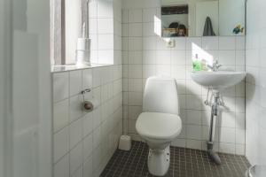 a bathroom with a toilet and a sink at Hvammur 2 Guesthouse in Blönduós