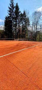 an orange tennis court with trees in the background at Hotel Superski in Cavnic