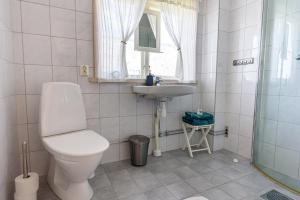 a bathroom with a toilet and a sink and a mirror at Soltägtgården in Tällberg