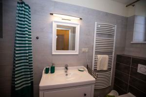 uma casa de banho com um lavatório, um espelho e um chuveiro em Apartmán Schindlerka em Banská Štiavnica