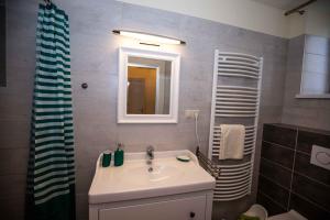a bathroom with a sink and a mirror and a shower at Apartmán Schindlerka in Banská Štiavnica