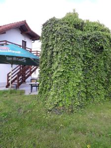 Zahrada ubytování Penzion a restaurace U Strnada