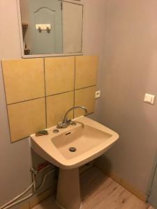 W łazience znajduje się umywalka i lustro. w obiekcie Espace Grenouillit Le Puy en Velay w mieście Le Puy-en-Velay