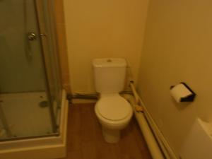 a small bathroom with a toilet and a shower at Appartement Loft Grenouillit Le Puy en Velay in Le Puy-en-Velay +3 photos