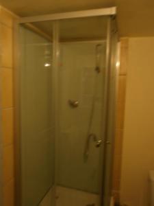 a shower with a glass door in a bathroom at Appartement Loft Grenouillit Le Puy en Velay in Le Puy-en-Velay