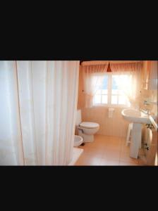 ア・ランサダにあるpiso 2 Casa Víctoriaのバスルーム(トイレ、洗面台付)、窓が備わります。