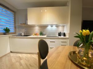 Kuchyň nebo kuchyňský kout v ubytování Apartamenty Park
