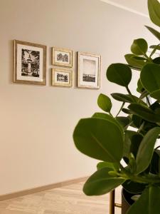 Fotografie z fotogalerie ubytování Apartamenty Park v destinaci Mielno