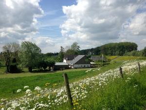 Příroda nedaleko bed and breakfast