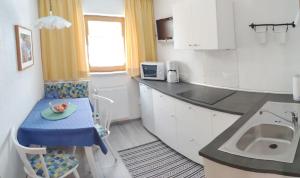 Kuchyň nebo kuchyňský kout v ubytování Haus Adlerkanzel