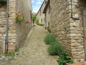 an alley in an old stone building with flowers at Rue du Barri in Cordes-sur-Ciel