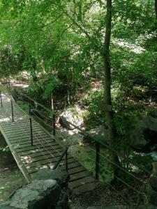 drewniane schody prowadzące do mostu w lesie w obiekcie La Ruota del Mulino w mieście Nesso