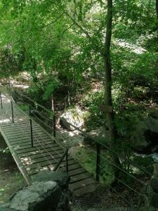 a wooden staircase leading down to a bridge in a forest at La Ruota del Mulino in Nesso