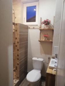 Koupelna v ubytování Kara Apartman