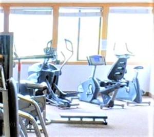 Fitness centrum a/nebo fitness zařízení v ubytování Pines at Meadow Ridge