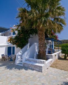 a palm tree next to a white building with stairs at Sardis Rooms in Kimolos