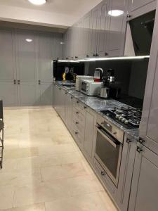 a kitchen with gray cabinets and a stove top oven at MAV Boutique Villa in Eforie Nord