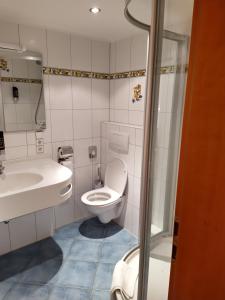 a bathroom with a toilet and a sink at Hotel Faller in Breitnau