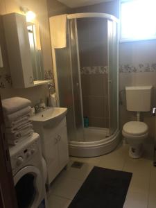ein Badezimmer mit Dusche, Toilette und Waschbecken in der Unterkunft MKA suite in Kragujevac + 20 Fotos