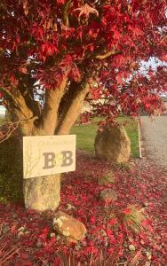 un signe devant un arbre à feuilles rouges dans l'établissement Chris and Dave's B & B, à Otorohanga