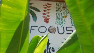 爱妮岛Focus Rooms的相册照片