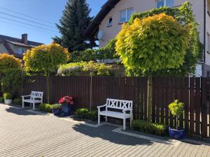 Przystań Stegna外面的花园