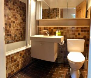 Vannituba majutusasutuses Apartment Bolgenblick +4 fotot