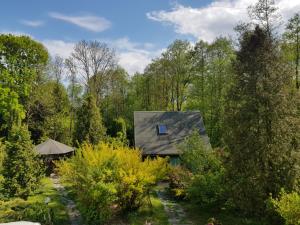 a house in the middle of a garden with trees at Domek w otulinie Wigierskiego Parku Narodowego in Aleksandrowsk