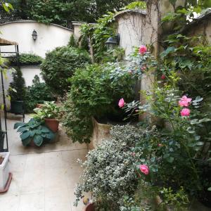 a garden with roses and plants on a wall at Kapri Hotel in Sofia