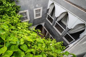 an old building with windows and green plants at Riad les 2 Portes in Marrakech
