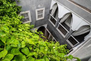 een oud gebouw met ramen en groene planten bij Riad les 2 Portes in Marrakesh