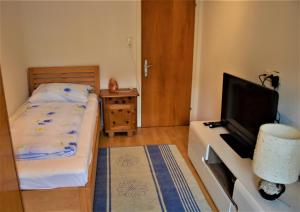 A television and/or entertainment centre at Ferienwohnung Walgaublick