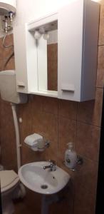 a bathroom with a sink and a toilet and a mirror at Delfin Apartments in Sveti Juraj