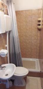 a bathroom with a toilet and a sink and a shower at Delfin Apartments in Sveti Juraj