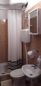 a bathroom with a toilet and a sink and a mirror at Delfin Apartments in Sveti Juraj