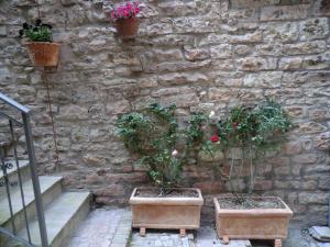 Zahrada ubytování la corta di spello camere