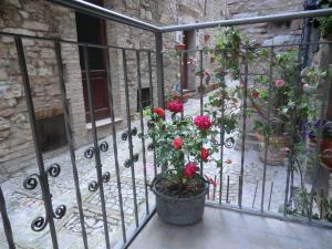 Balkón nebo terasa v ubytování la corta di spello camere
