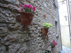 Fotografie z fotogalerie ubytování la corta di spello camere v destinaci Spello