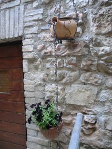 Fotografie z fotogalerie ubytování la corta di spello camere v destinaci Spello